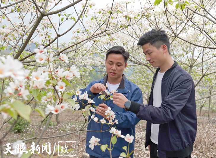 P1047713_副本.jpeg
