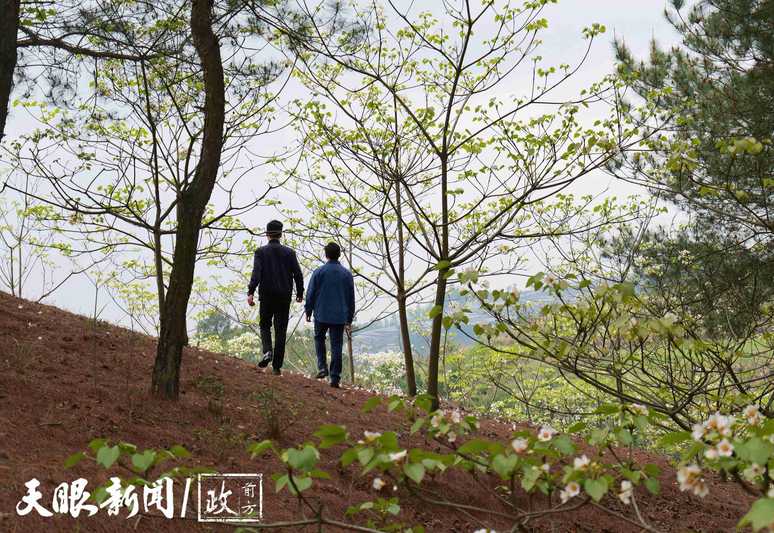 P1047767_副本_副本.jpeg
