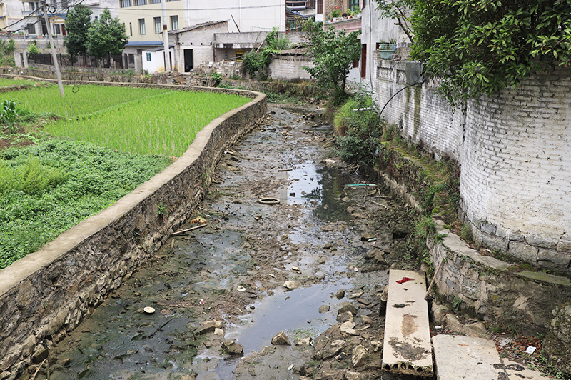 淤积的河道.jpg