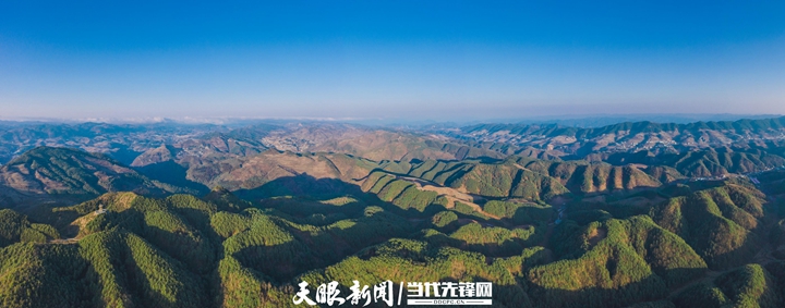 海雀村万亩林海。冯相清 摄.jpeg