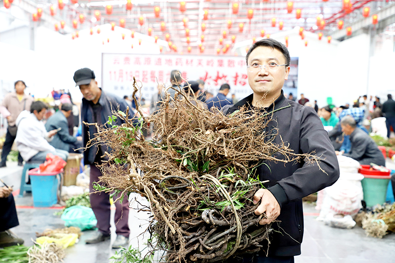当地群众在道地药材关岭集散中心购买到心仪的药材.jpg