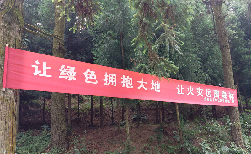 森林保护宣传语.jpg
