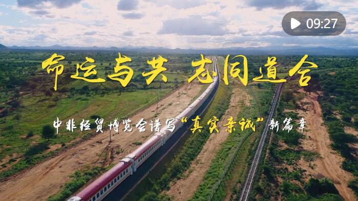 QQ截图20230701104049