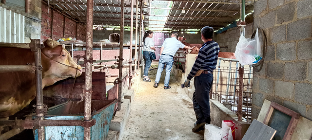 3486c689-cb95-46ce-a7e2-c3d4299aa80f_IMAGE_1