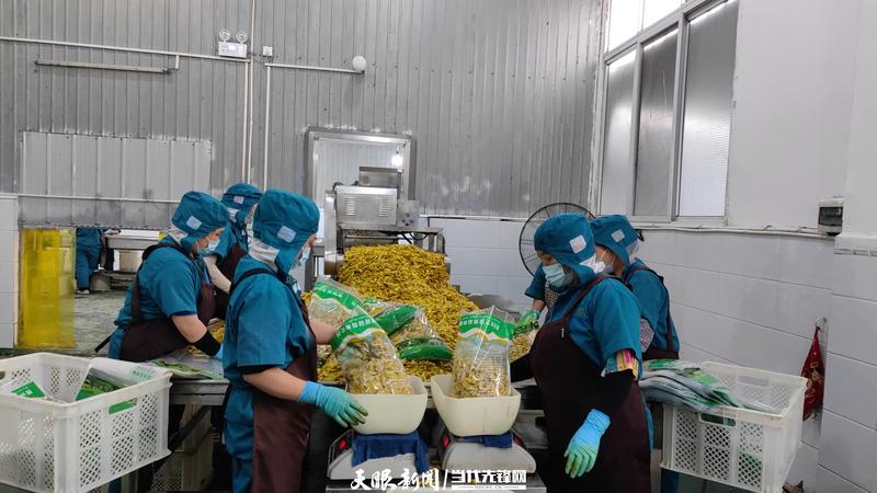 1690469427247916.jpeg 1687999879795732.jpeg