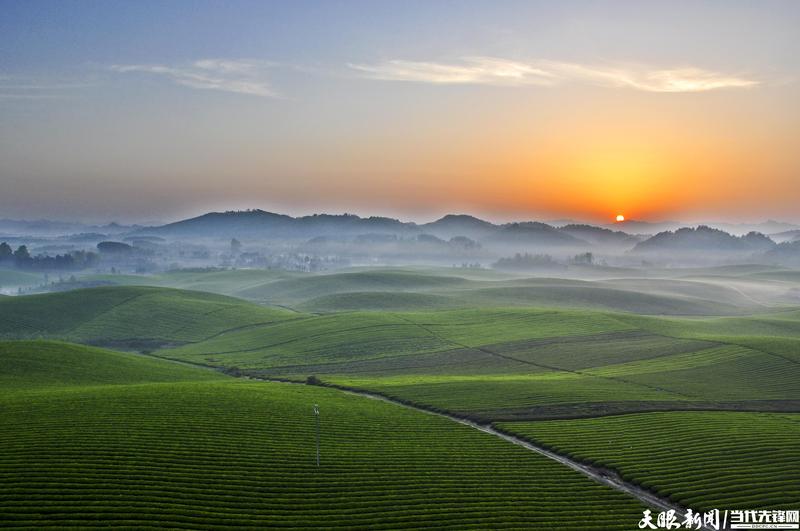 1681661953846781.jpg 茶海日出 程文涛 摄.jpg