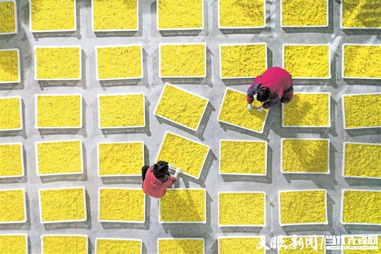 1682847534548800.jpeg 1682771982656346.jpeg