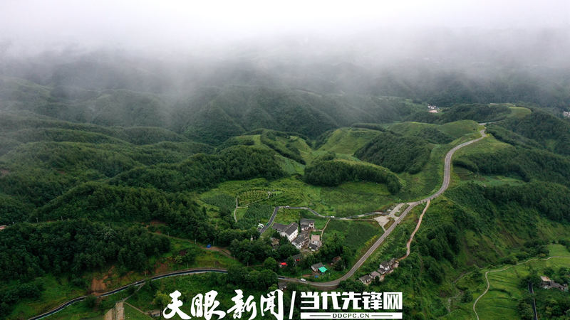 赫章县河镇乡海雀村万亩林海。（汪瑞梁 摄）.jpeg