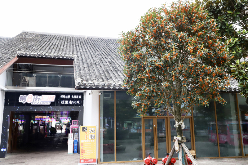 而在熙熙攘攘的小十字商业区,桂花的香气在人群的喧嚣中找到了自己的存在。.jpeg
