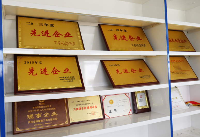 公司荣誉.jpg