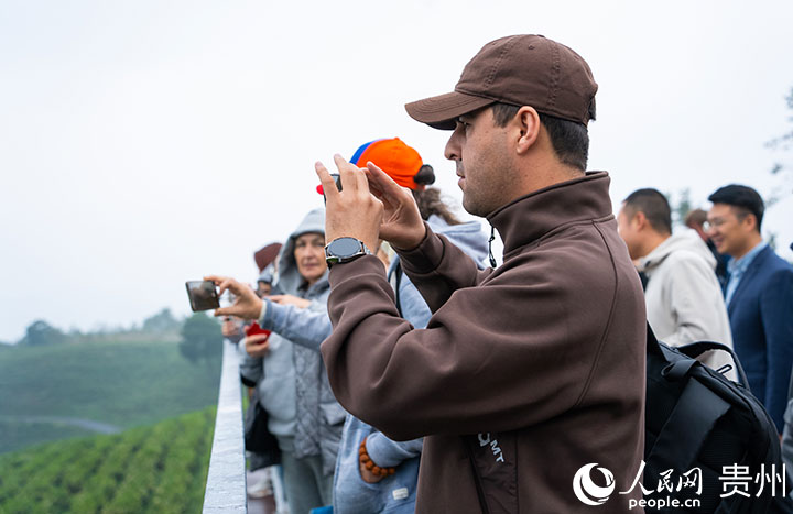 欧亚国家记者参观神鹊茶场。人民网 阳茜摄