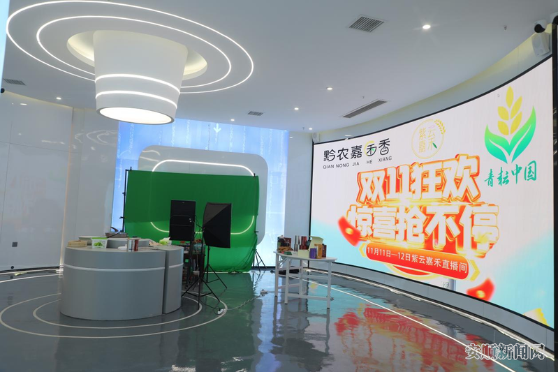 44255556-86ae-4f5e-bbc6-a0b66afb9524_IMAGE_1