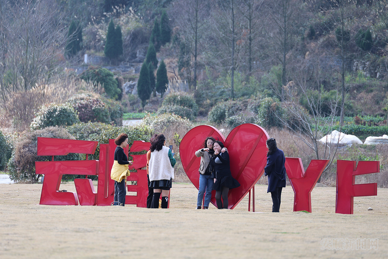 云峰浔境露营基地1