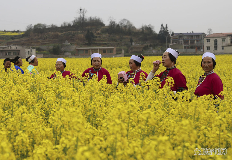 3月17日，游客在贵州省安顺市西秀区狗场屯村的油菜花地唱山歌。