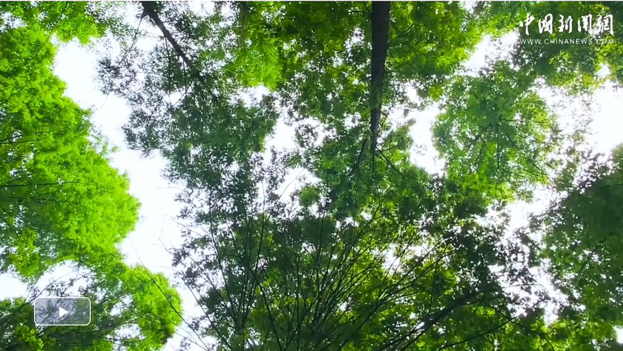 截图20240405203827