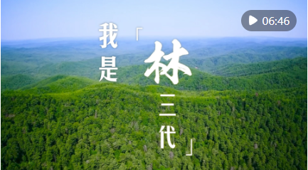 截图20240406084847