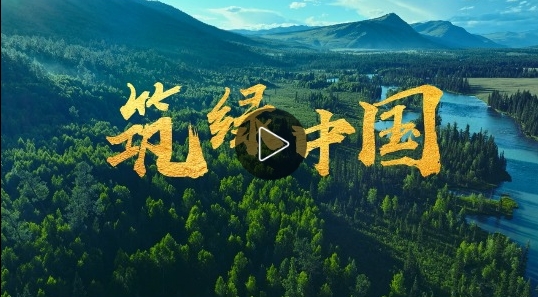 微信截图_20240422082305