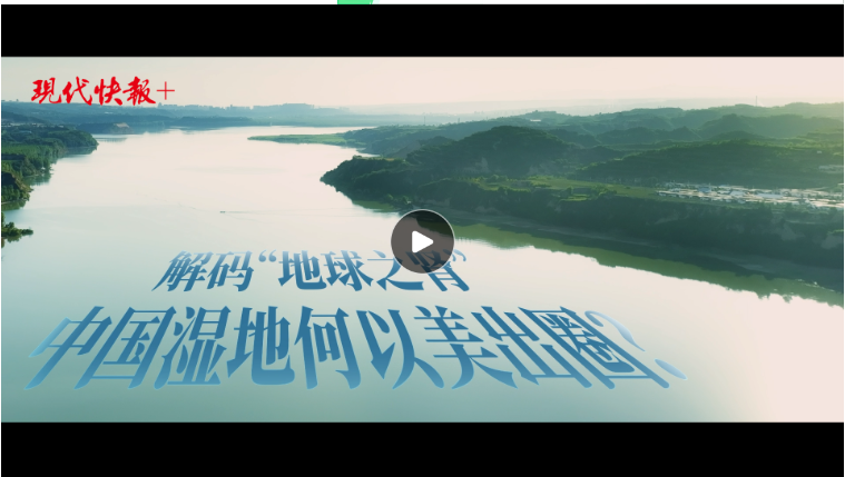 QQ截图20240422195004.png