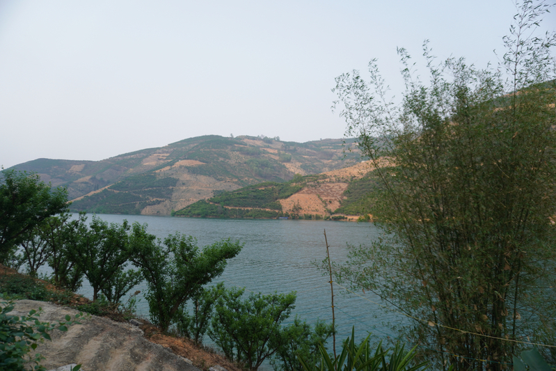 DSC06339(1).jpg
