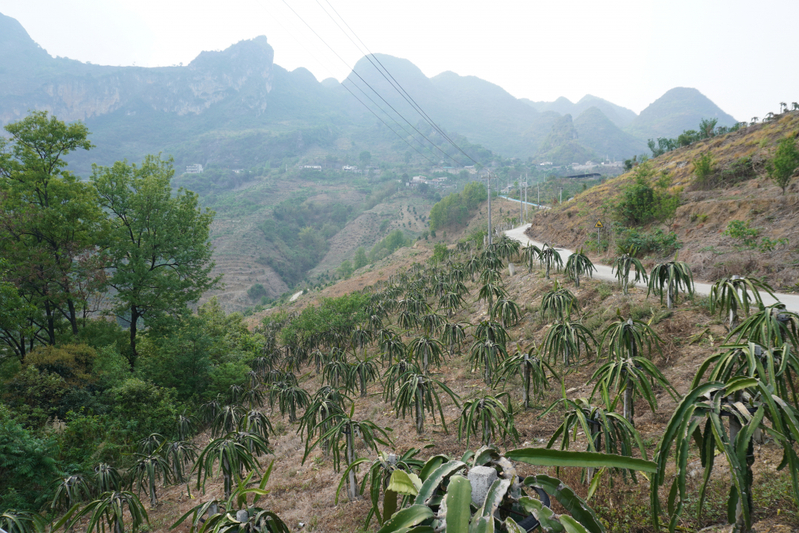 DSC06321(1).jpg