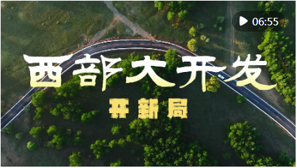 QQ截图20240425170534