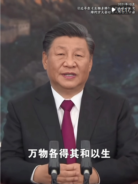 截图20240523084236