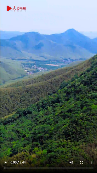 微信截图_20240528154122