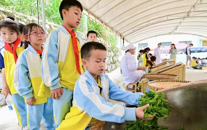 学生在蚕种场进行茶研学活动.jpg