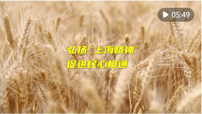 截图20240702123424