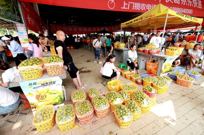 镇宁蜂糖李交易市场一角.jpg