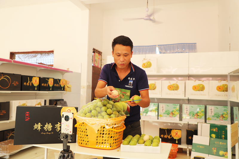 蜂糖李种植大户杨建华手机直播销售镇宁蜂糖李.jpg