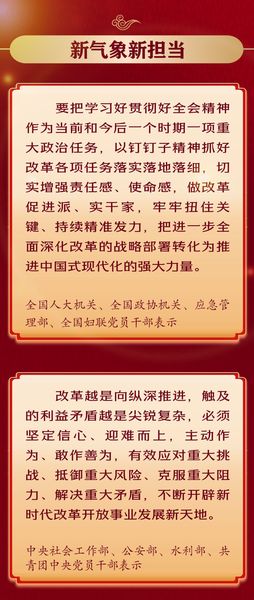 深入学习贯彻党的二十届三中全会精神，他们这样说