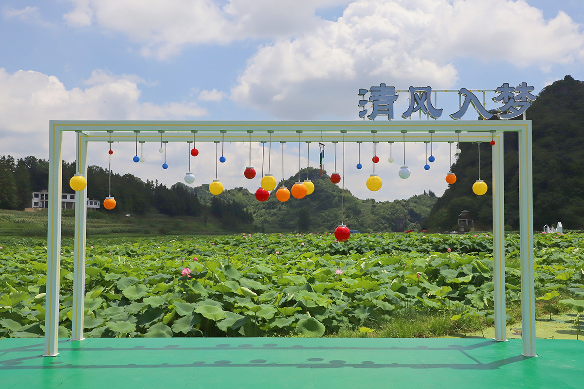 　　又是一年盛夏时，又到一年赏荷季。7月22日，记者在普定县化处镇水井村看到，该村千余亩荷花迎来盛开季节，荷花绽放的景象如诗如画。千余亩荷田与四围村落相映而成的乡村美景，吸引不少游客徘徊于观光栈道上，赏花赏景、拍照打卡。据悉，“四季普定·荷里有约”普定县第八届乡村嘉年华水井荷花节，将于7月27日开幕，改造提质后的荷花园焕然一新，将开启一场“荷您有约”的美妙之旅。（安顺日报融媒体中心记者 吴学思）