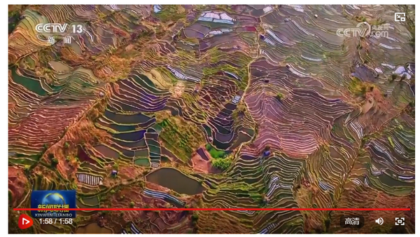 微信截图_20240807083635