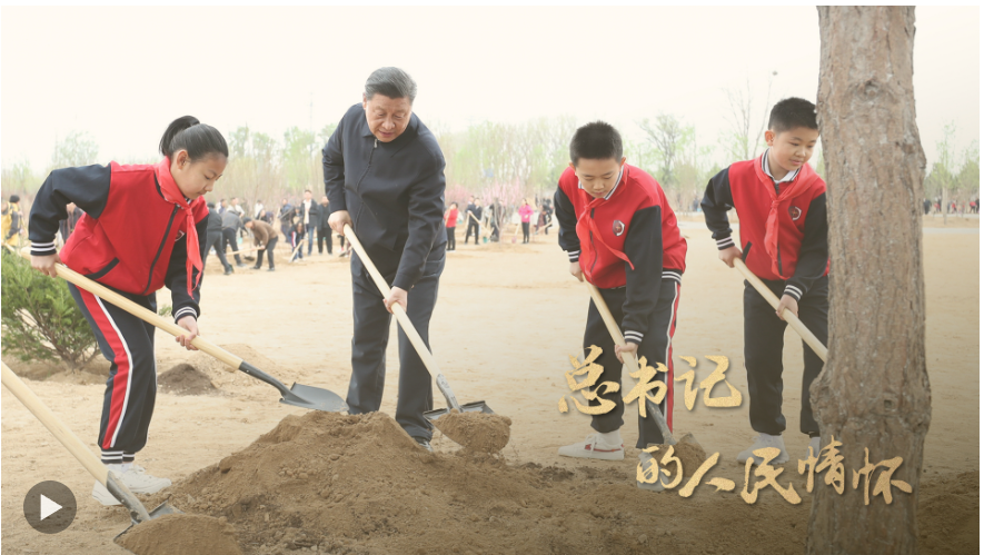 QQ截图20240808114947
