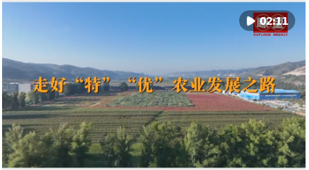 QQ截图20240810160818.png