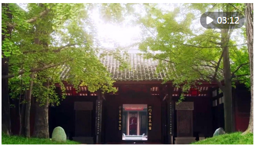 QQ截图20240815083320