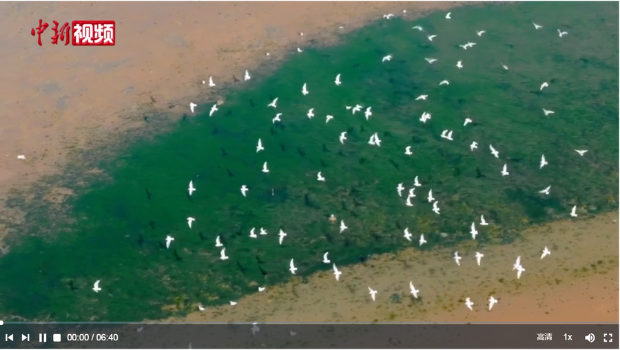 QQ截图20240815153739