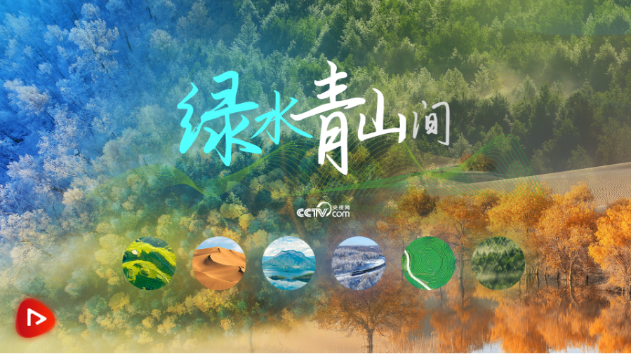 截图20240816193851