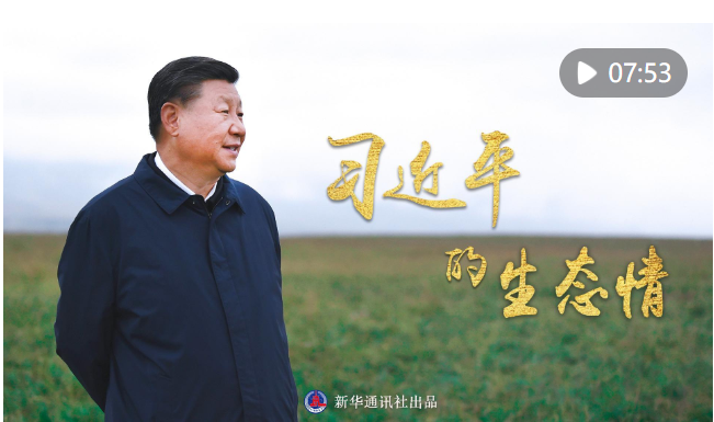 截图20240817122455