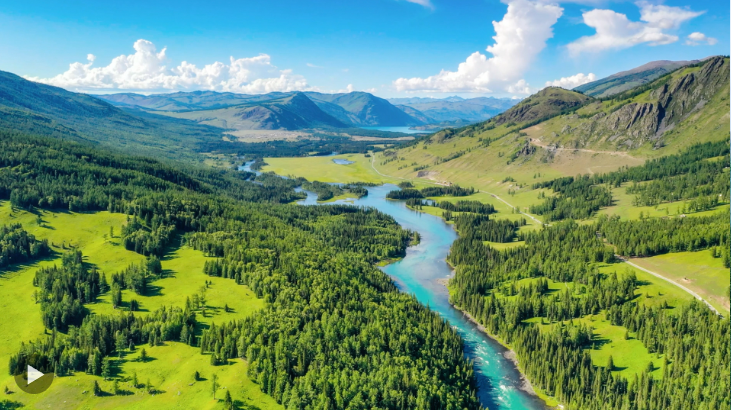 截图20240817132429