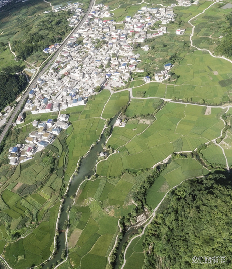 初秋鲍家屯田野景美如画2