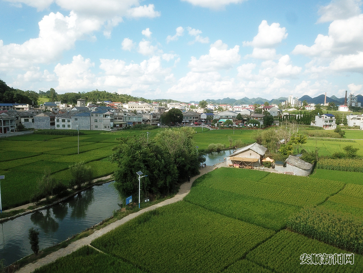 初秋鲍家屯田野景美如画4