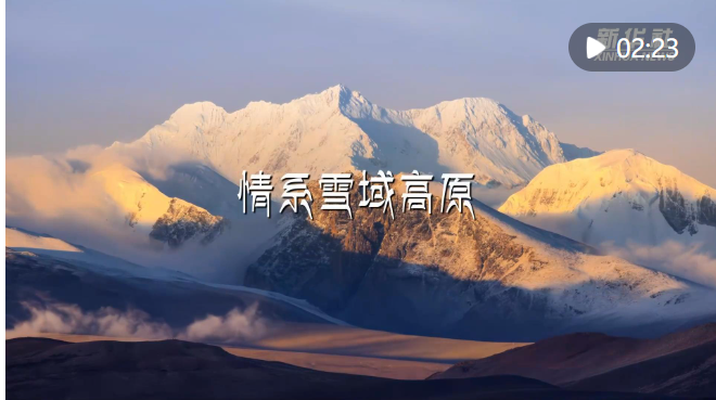 截图20240827082535