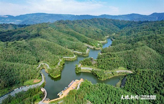 赤水竹海国家森林公园秀美风景。林民 摄