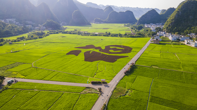 1727110088112157.jpg WechatIMG441.jpg