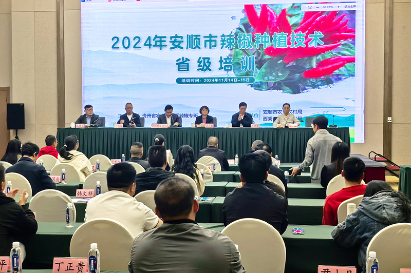 2024年安顺市辣椒种植技术省级培训开班-FZ1002178946.jpg