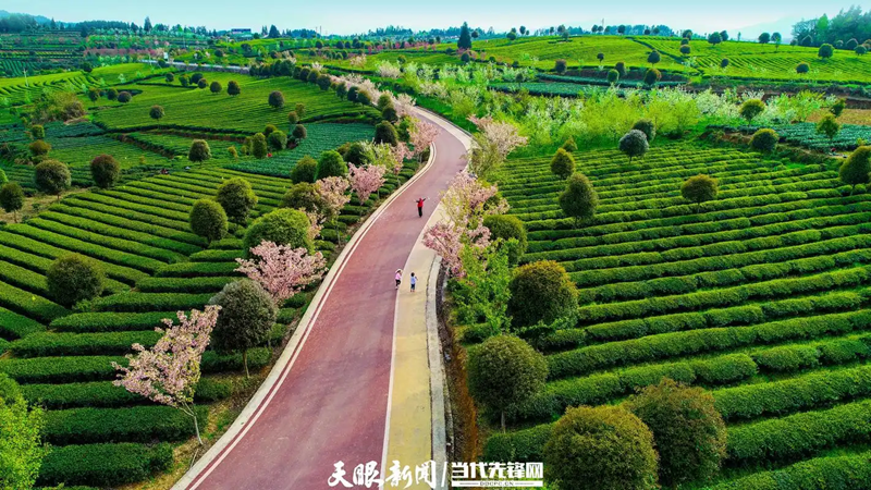 1731652418942115.png image.png