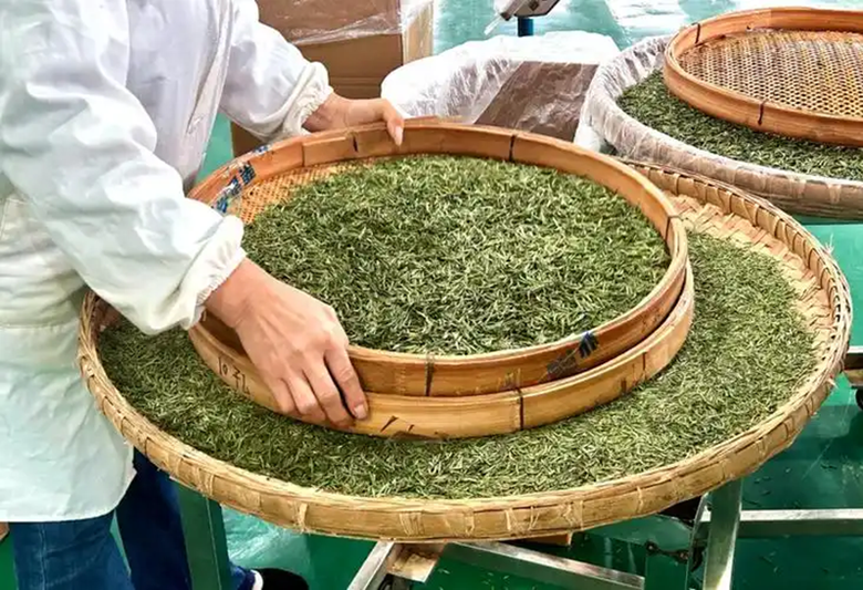 1731652824347538.png image.png