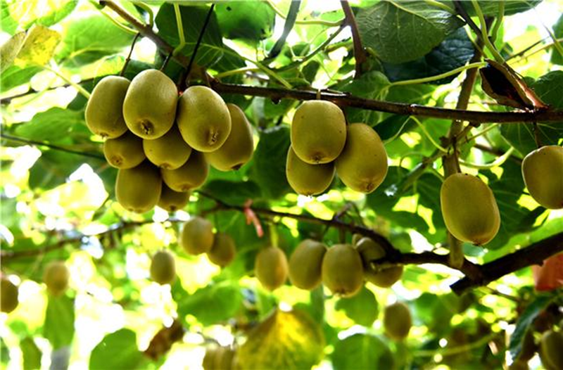 1731652287103665.png image.png